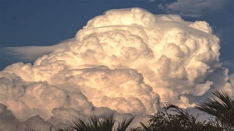 積雨雲特徵|積雨雲：它們是什麼、起源、特徵等